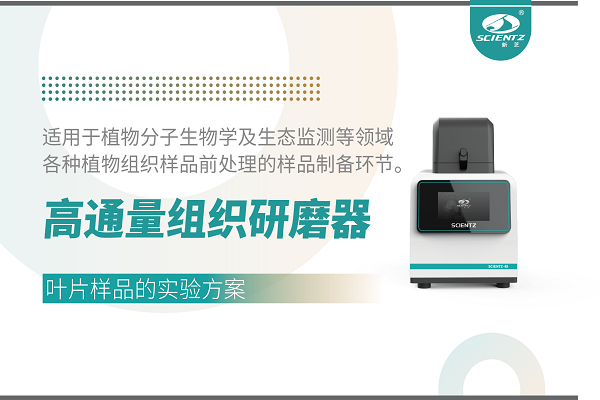 高通量組織研磨器處理樹葉樣品的實驗方案(濕磨法)
