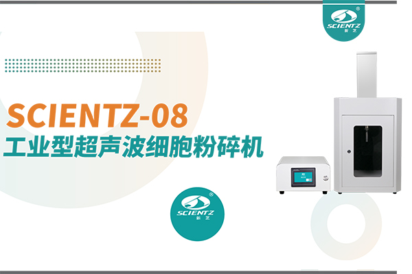 工業型超聲波細胞粉碎機 | 雙激勵換能器加持，讓超聲處理從“實驗室”走向“生產線”