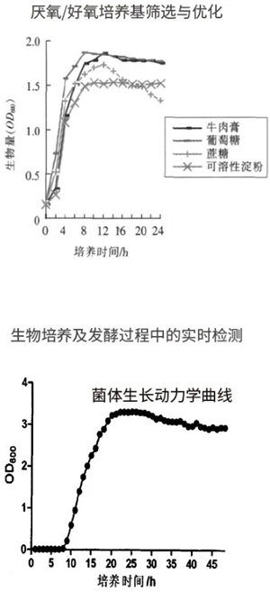 過程安全，結果精準